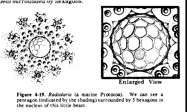 Figure 4-19.