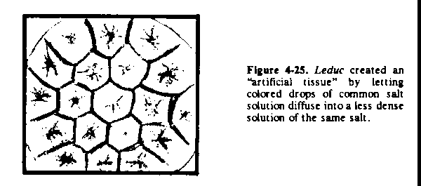Figure 4-25