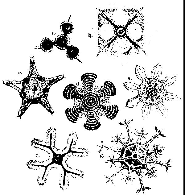 Figure 4-8