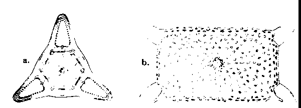 Figure 4-9
